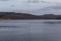 2019_02_09_Lac de Panneciere (0058)
